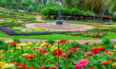 image blog paysagiste Annecy - Conseils d’aménagement de jardin en Haute-Savoie selon les saisons